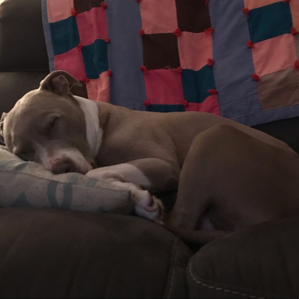 Meet your Posher, Payge